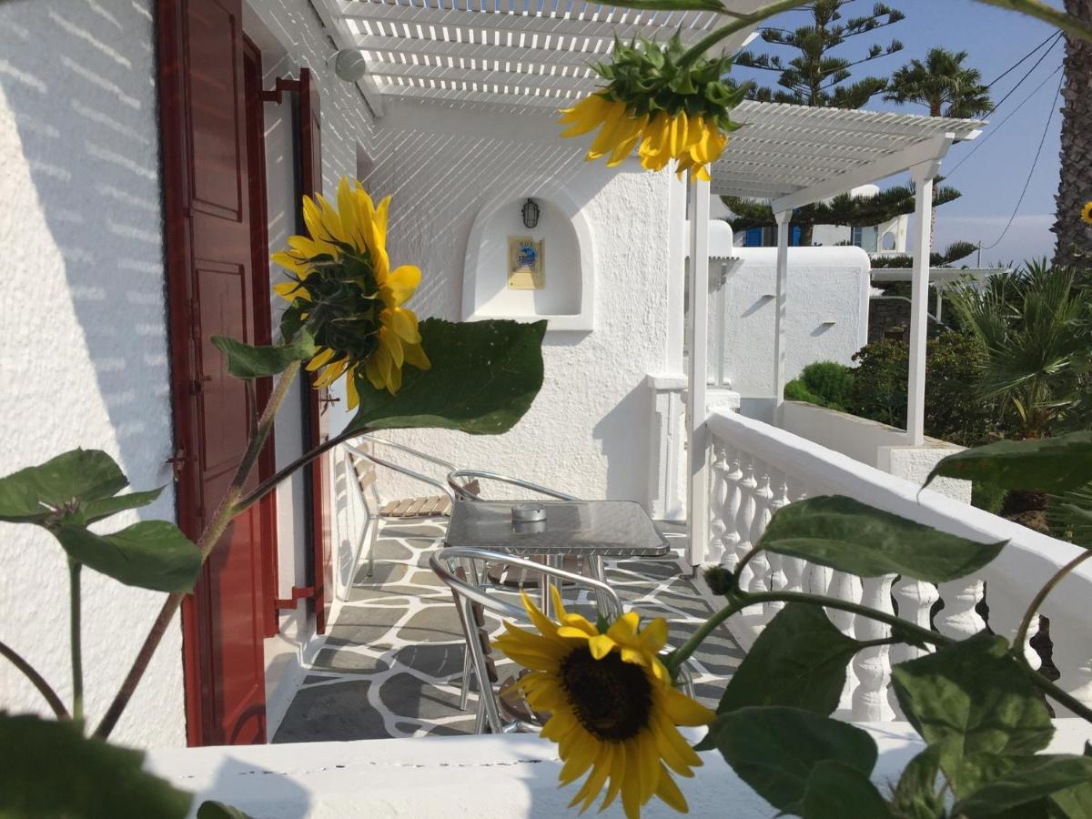 Diogenis Village Mykonos Glásztrosz Kültér fotó